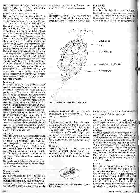 Vorschauseite 3: Darminfektionen - Darmprotozoen