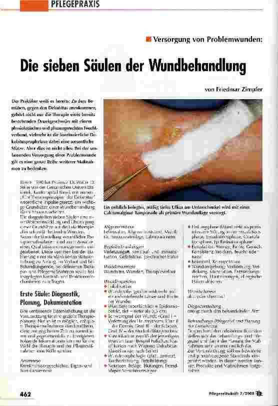 Vorschauseite 1: Die sieben Säulen der Wundbehandlung Versorgung von Problemwunden