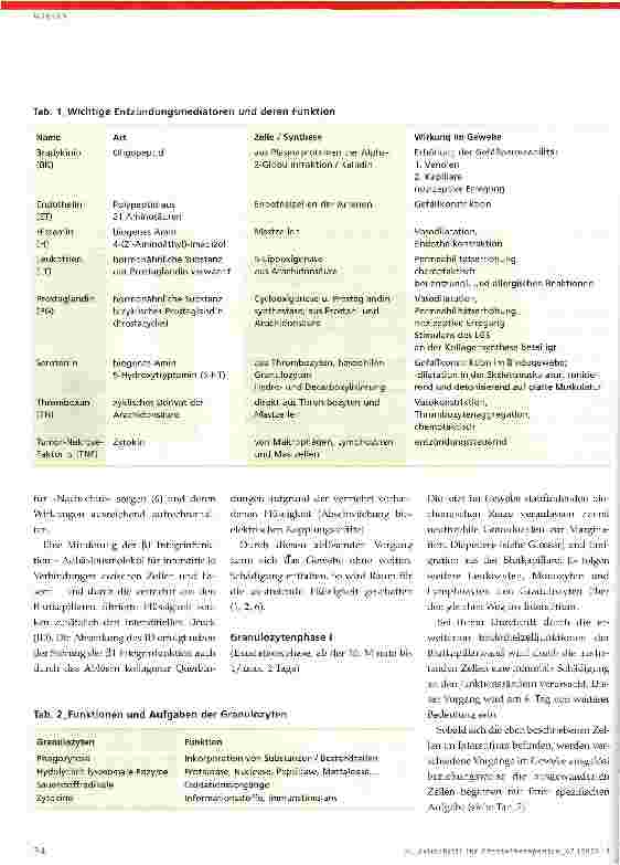 Vorschauseite 4: Physiologie der Heilung
