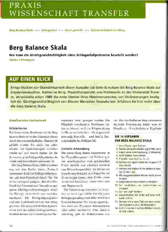 Vorschauseite 1: Berg Balance Skala