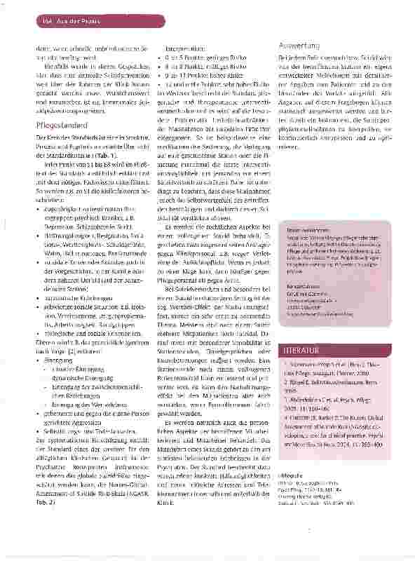 Vorschauseite 4: Standard „Suizidprophylaxe in der Pflege