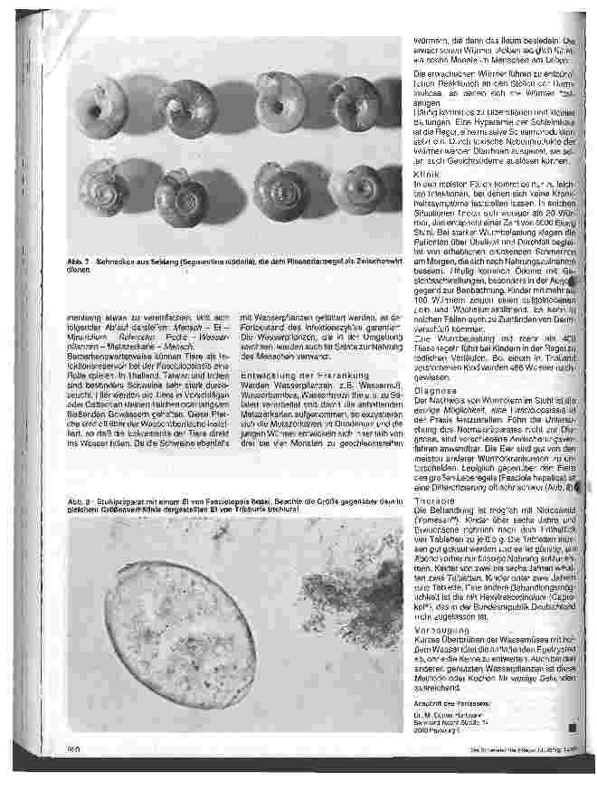 Vorschauseite 4: Darminfektion - würmer (III) Tropenmedizin - 9. Folge