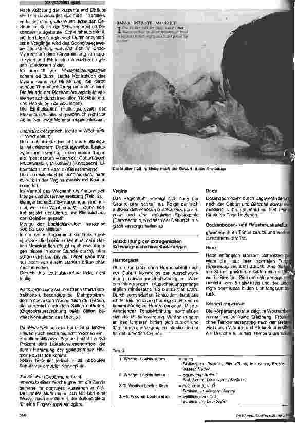Vorschauseite 2: Wochenpflege