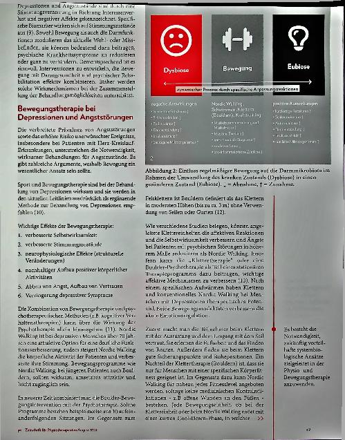 Vorschauseite 3: Komplexes Zusammenspiel Crosstalk von Darm-Gehirn-Bewegung