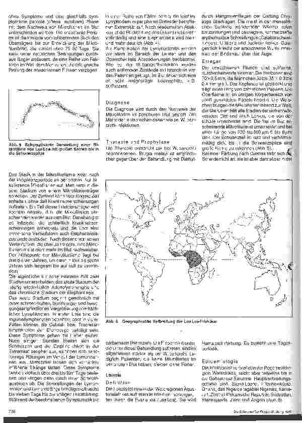Vorschauseite 3: Wurminfektion - Filariasis