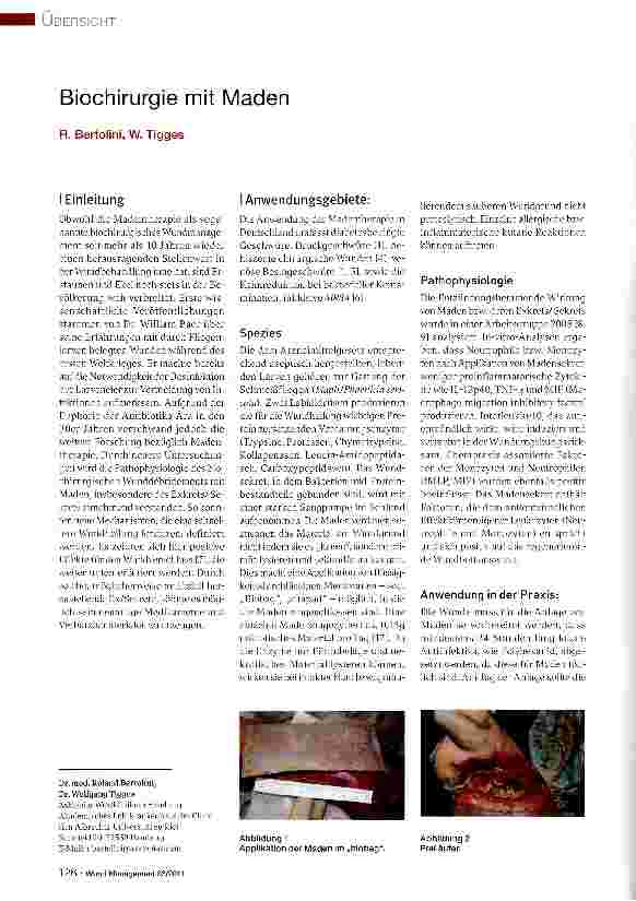 Vorschauseite 1: Biochirurgie mit Maden