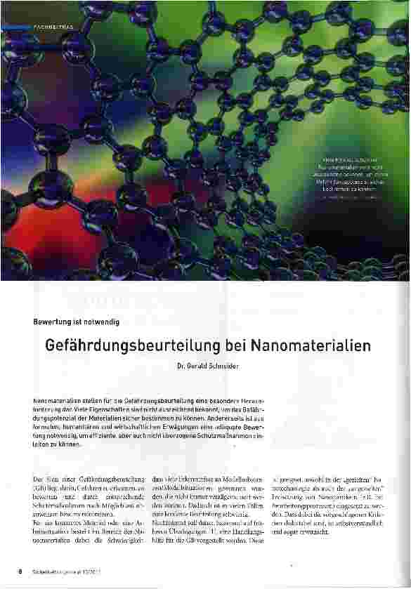 Vorschauseite 1: Gefährdungsbeurteilung bei Nanomaterialien