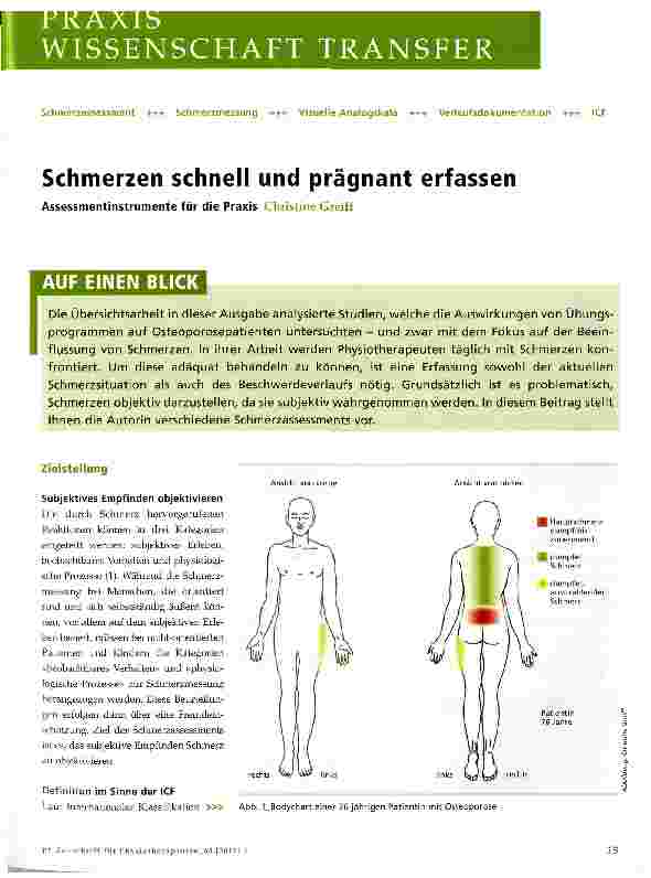 Vorschauseite 1: Schmerzen schnell und prägnant erfassen
