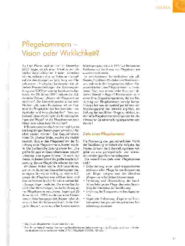 Vorschauseite 1: Pflegekammern -Vision oder Wirklichkeit?