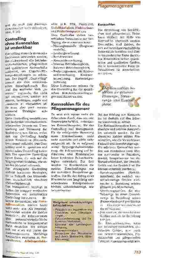 Vorschauseite 2: Kennzahlen - Informationen für das Pflegemanagement