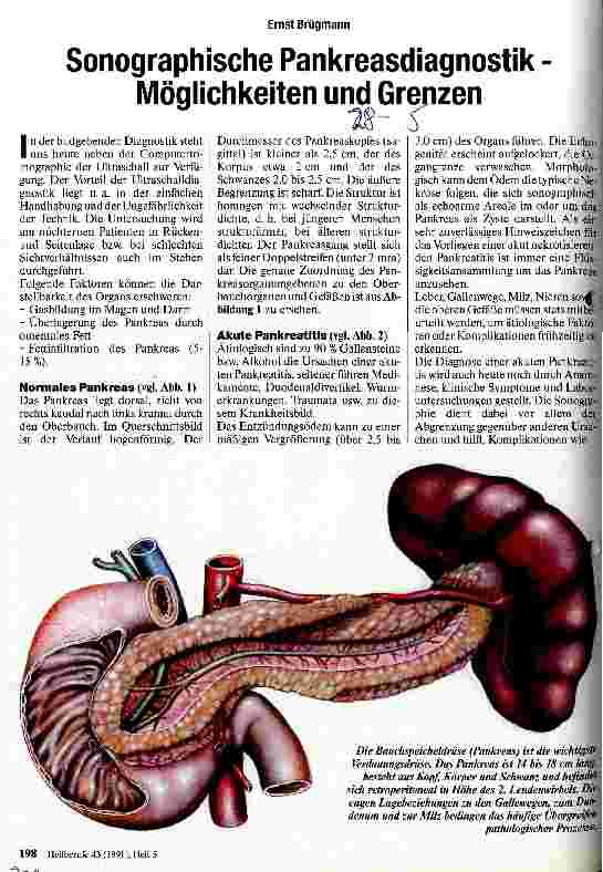 Vorschauseite 1: Sonographische Pankreasdiagnostik - Möglichkeiten und Grenzen