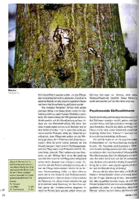 Vorschauseite 2: Der Einfluss der sozialen Unterstützung auf die Wundheilung von Ulcus cruris