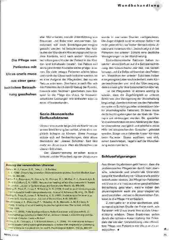 Vorschauseite 3: Der Einfluss der sozialen Unterstützung auf die Wundheilung von Ulcus cruris