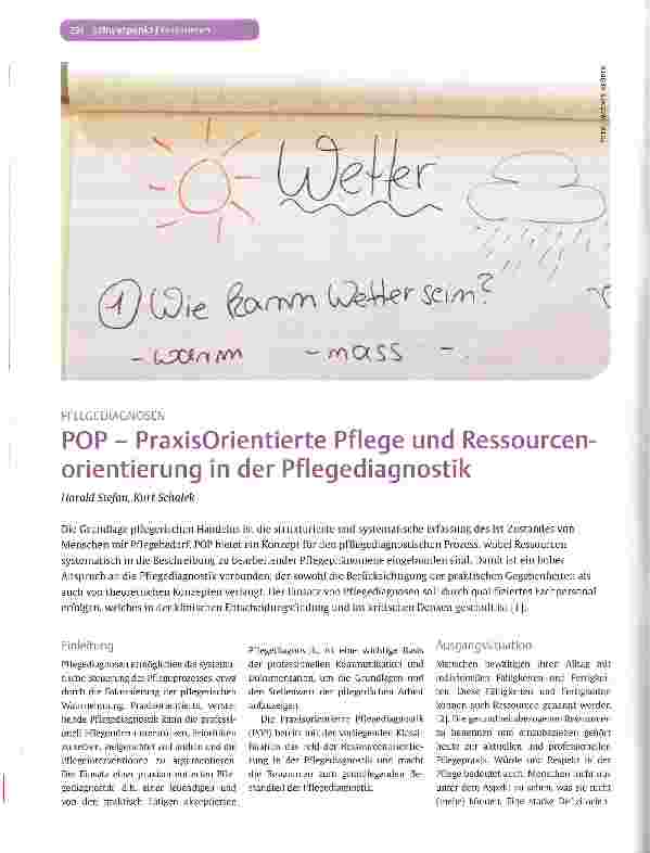 Vorschauseite 1: POP - Praxisorientierte Pflege und Ressourcenorientierung in der Pflegediagnostik