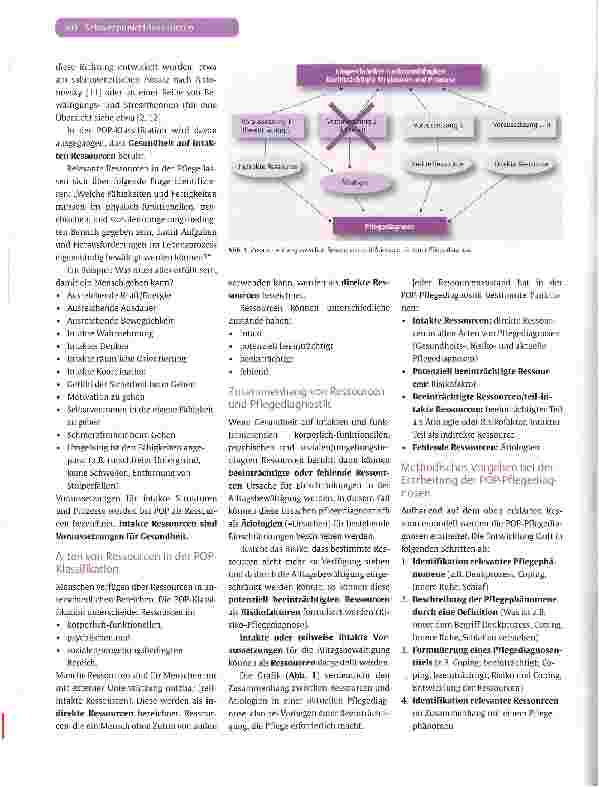 Vorschauseite 3: POP - Praxisorientierte Pflege und Ressourcenorientierung in der Pflegediagnostik