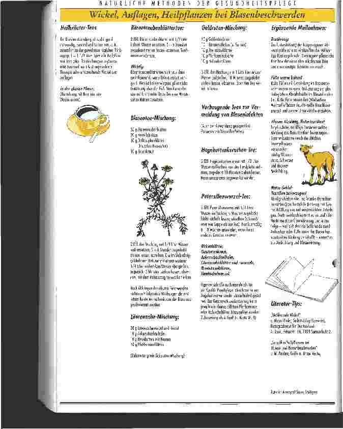 Vorschauseite 2: Natürliche Methoden der Gesundheitspflege Wickel, Auflagen, Heilpflanzen bei Blasenbeschwerden
