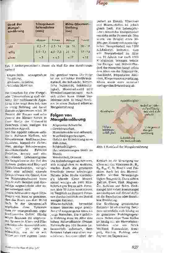 Vorschauseite 2: Klinische Ernährungsregimes bei mangelernährten Senioren Geriatrische Pflege