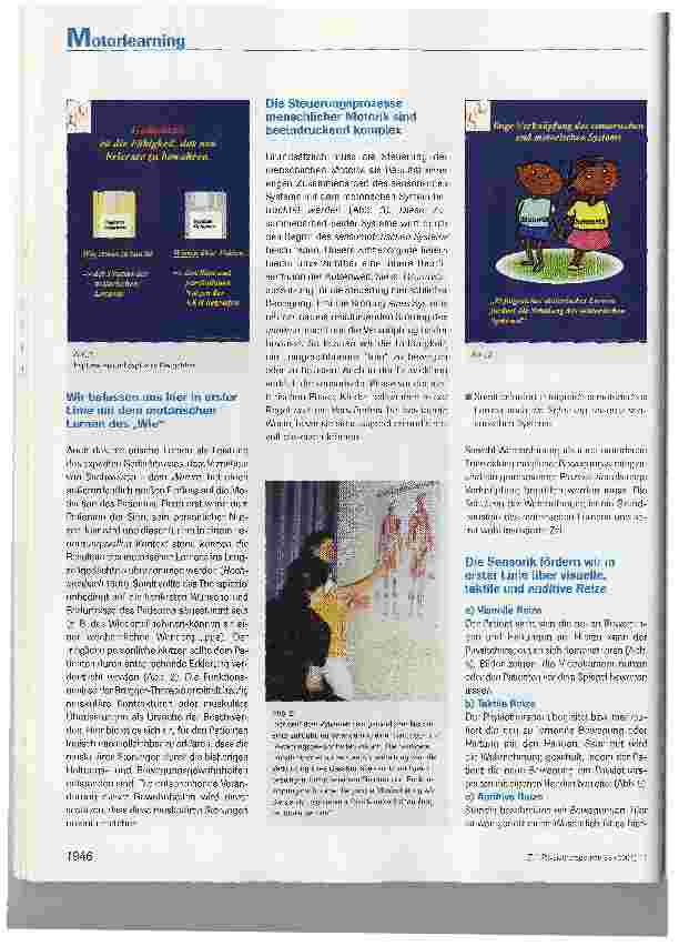 Vorschauseite 3: Aspekte des Motorlearningim Konzept der Brügger-Therapie