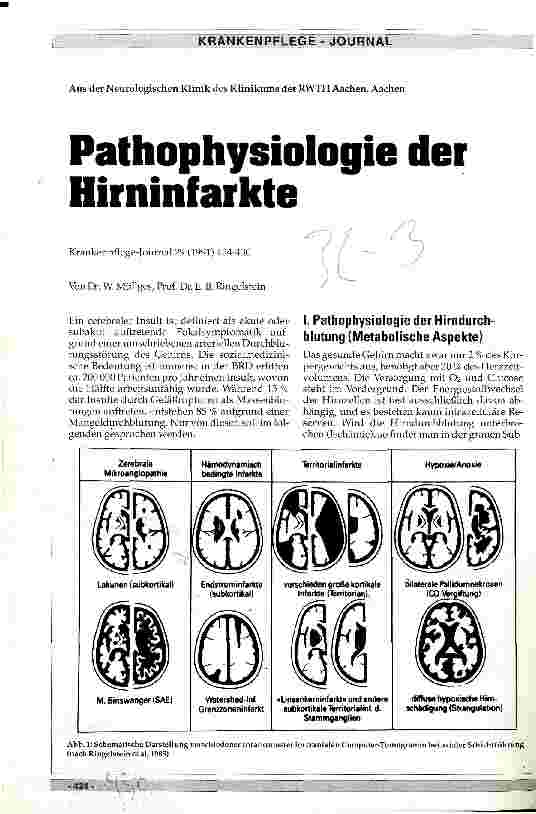 Vorschauseite 1: Pathophysiologie der Hirninfarkte