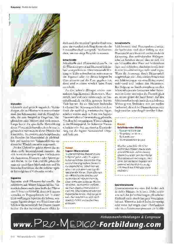 Vorschauseite 4: Die besonderen Kräfte der Mutterkräuter