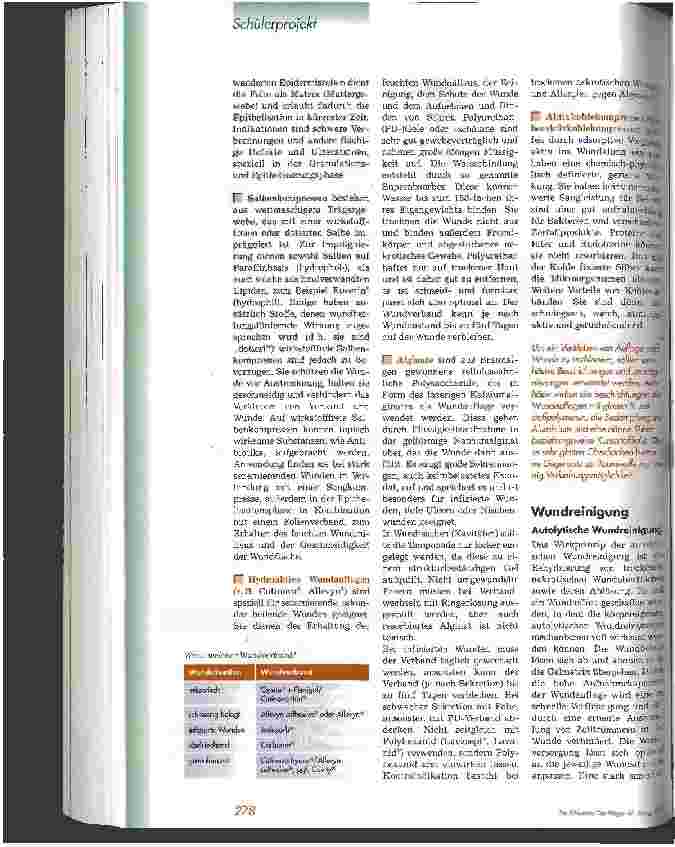 Vorschauseite 5: Leitfaden Wundmanagement für die Pflegepraxis