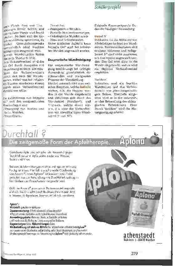 Vorschauseite 6: Leitfaden Wundmanagement für die Pflegepraxis
