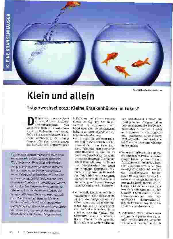 Vorschauseite 1: Klein und allein