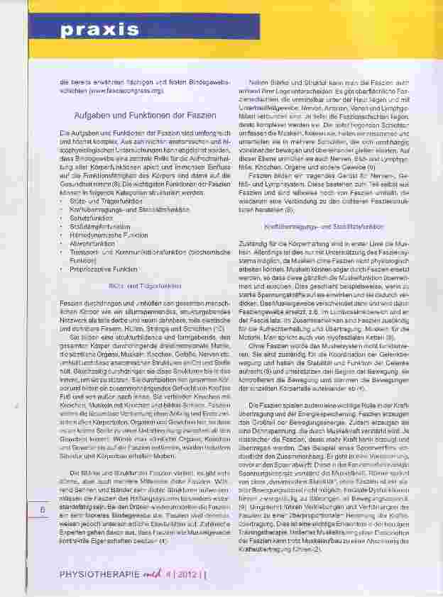 Vorschauseite 2: Ganzkörpertraining mit der Fitnessrolle Teil I - Wirksamkeit und theoretische Hintergründe