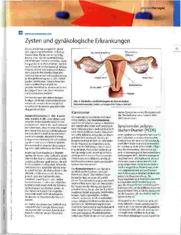 Vorschauseite 4: In der Regel Schmerzen