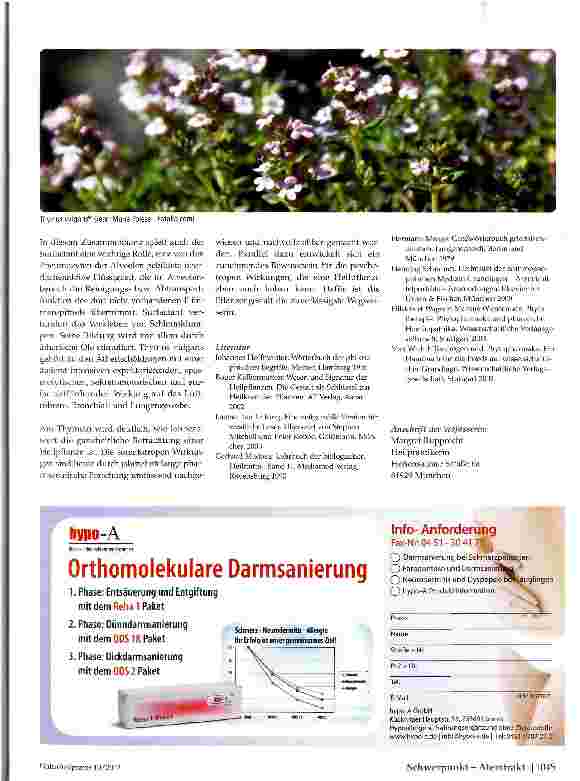 Vorschauseite 3: Thymian
