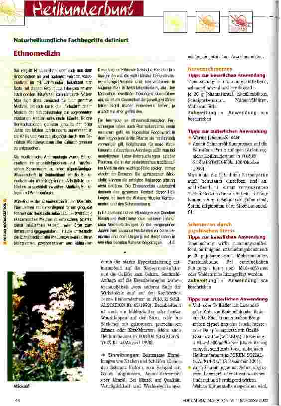 Vorschauseite 3: Schmerzen sanft bekämpfen Teil II