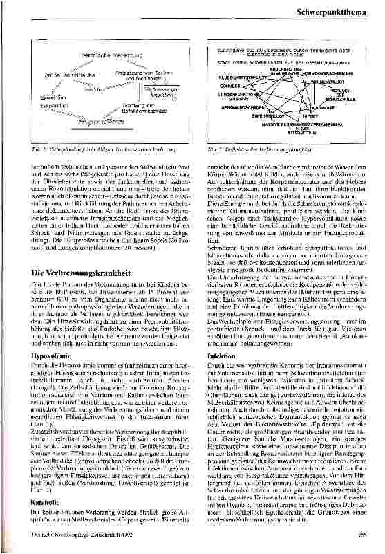 Vorschauseite 2: Verbrennung - Krankheit und Therapie