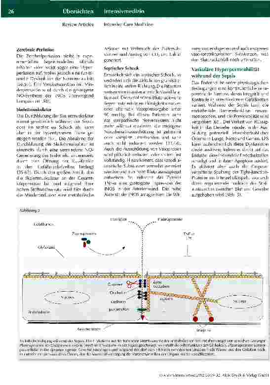 Vorschauseite 6: Hämodynamische Veränderungen in der Sepsis