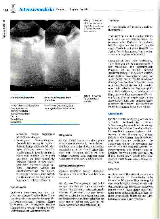 Vorschauseite 2: Urologische Notfälle