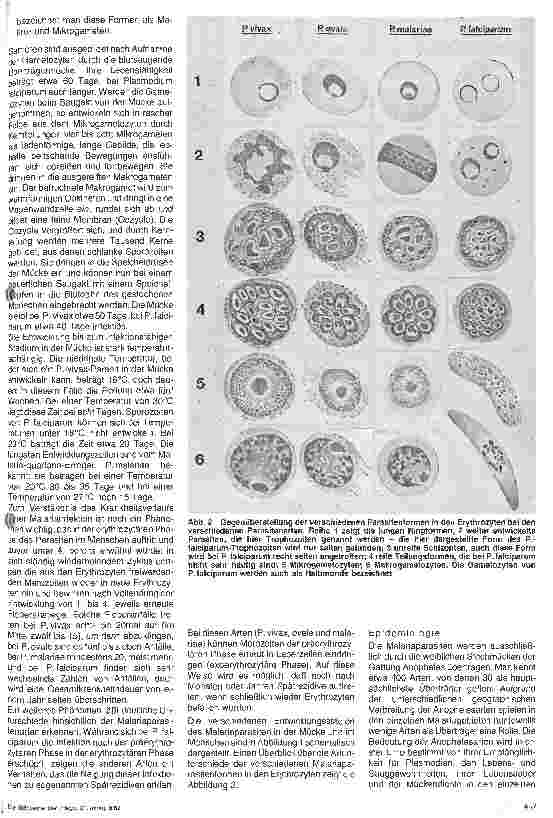 Vorschauseite 2: Malaria
