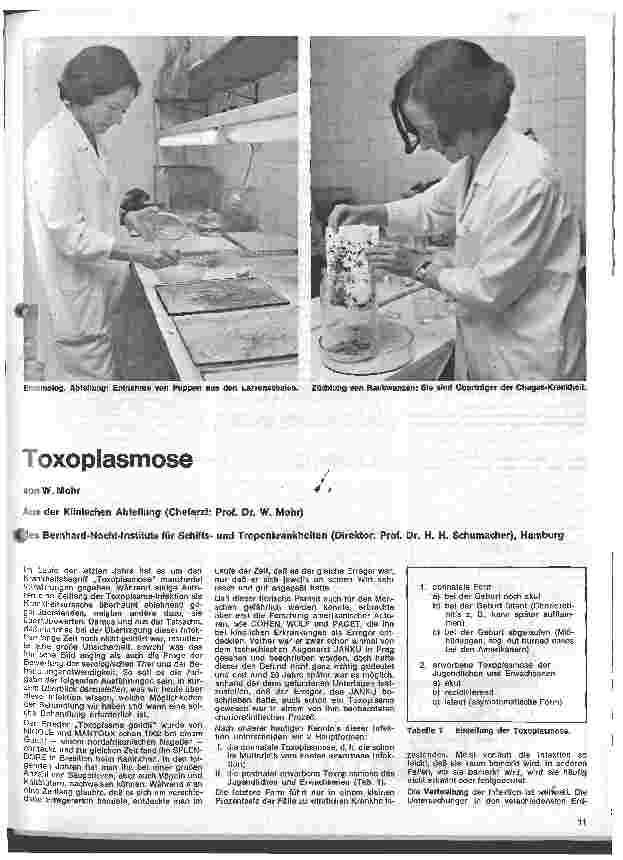 Vorschauseite 1: Toxoplasmose
