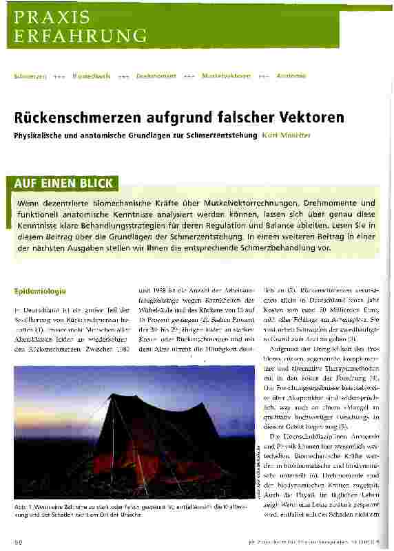 Vorschauseite 1: Rückenschmerzen aufgrund falscher Vektoren