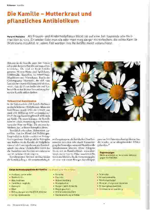 Vorschauseite 1: Die Kamille - Mutterkraut und pflanzliches Antibiotikum