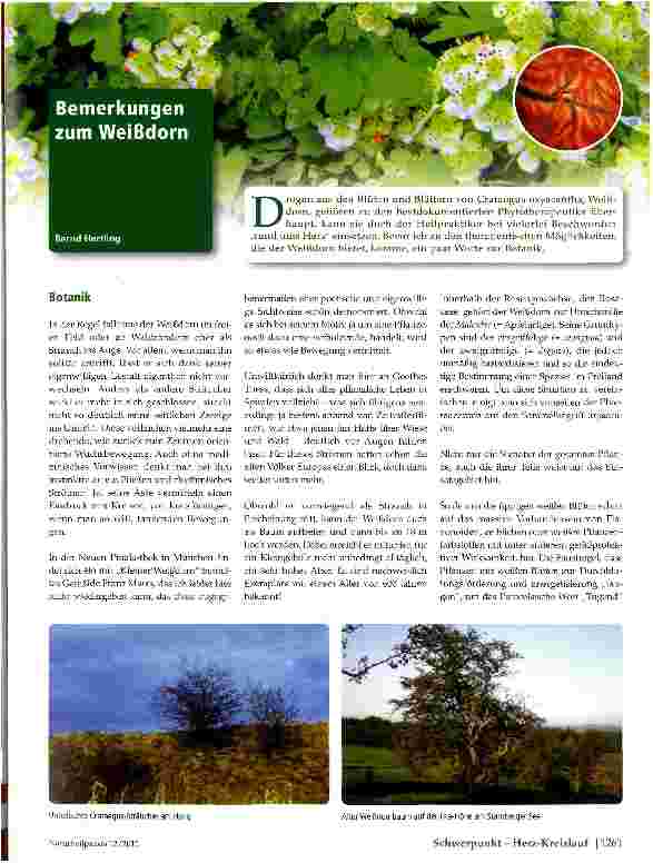 Vorschauseite 1: Bemerkungen zum Weißdorn
