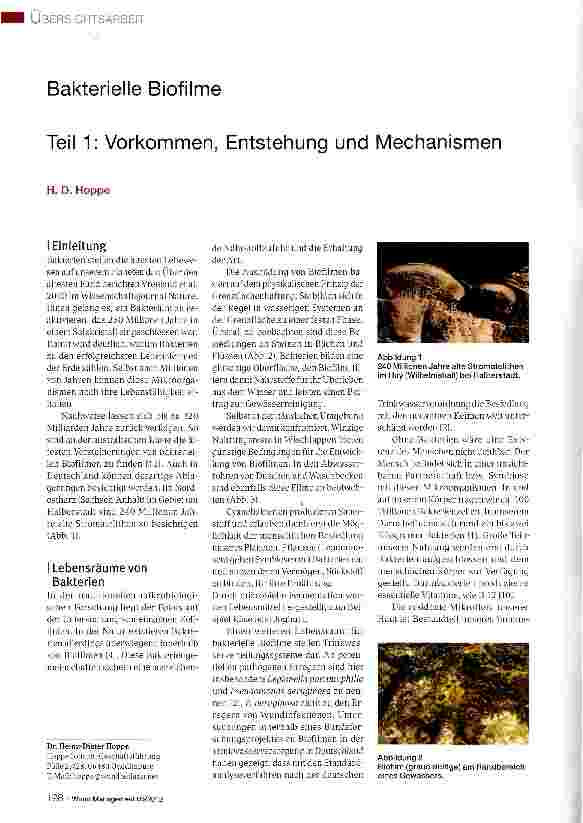 Vorschauseite 1: Bakterielle Biofilme Teil 1: Vorkommen, Entstehung und Mechanismen