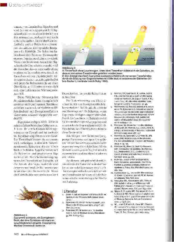 Vorschauseite 3: Bakterielle Biofilme Teil 1: Vorkommen, Entstehung und Mechanismen