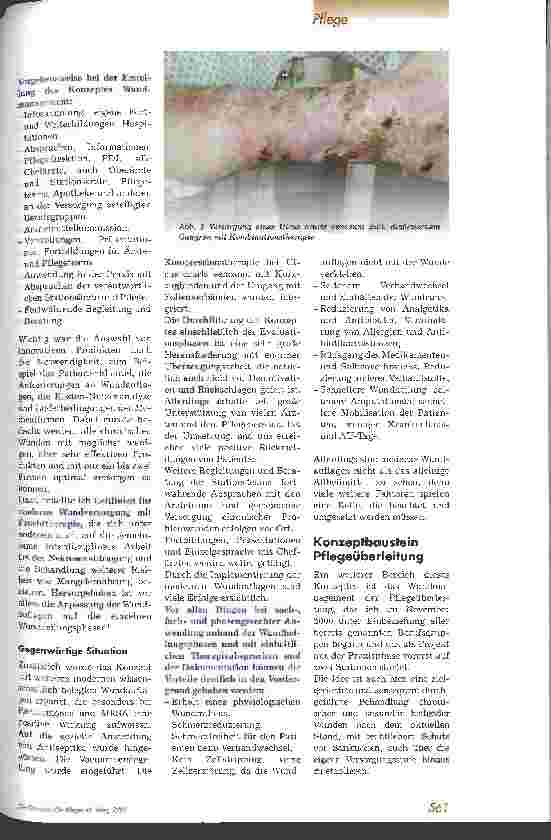 Vorschauseite 2: Konzept zur Behandlung chronischer und sekundär heilender Wunden