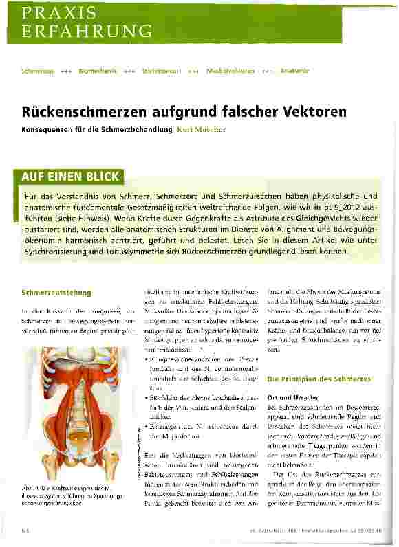 Vorschauseite 1: Rückenschmerzen aufgrund falscher Vektoren