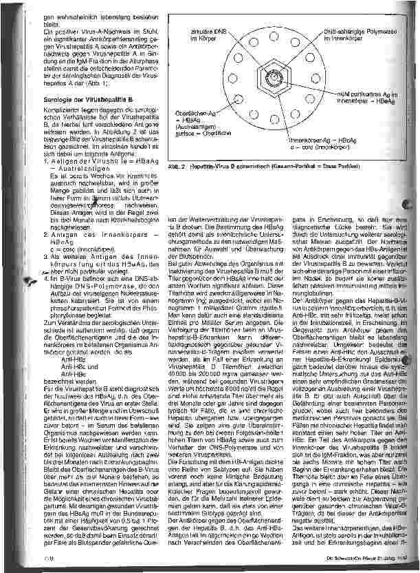 Vorschauseite 3: Probleme der Diagnostik der Virushepatitiden
