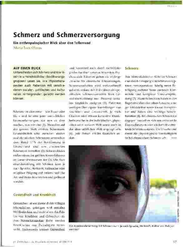 Vorschauseite 1: Schmerz und Schmerzversorgung