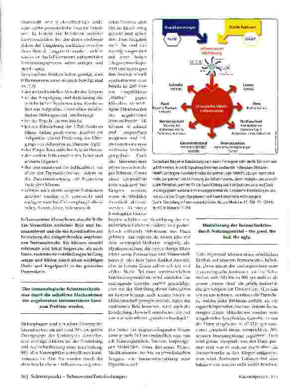 Vorschauseite 2: Inflammation -die stille Epidemie unserer Zeit