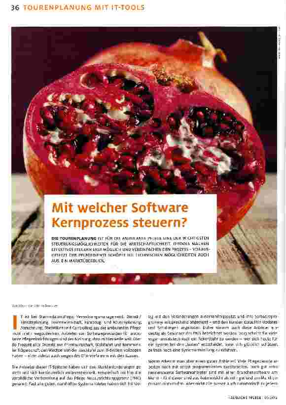 Vorschauseite 1: Mit welcher Software Kernprozess steuern?
