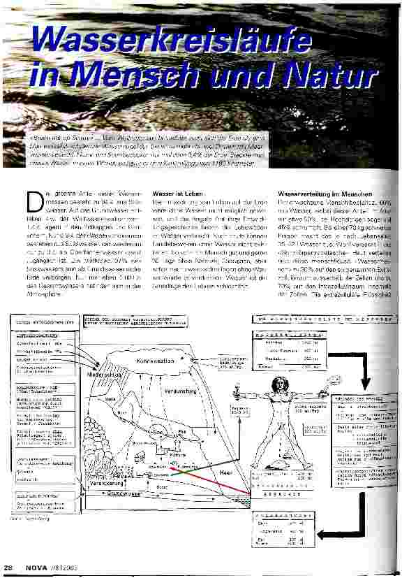 Vorschauseite 1: Wasserkreisläufe in Mensch und Natur