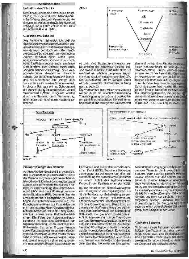 Vorschauseite 2: Infusionsbehandlung im Schock
