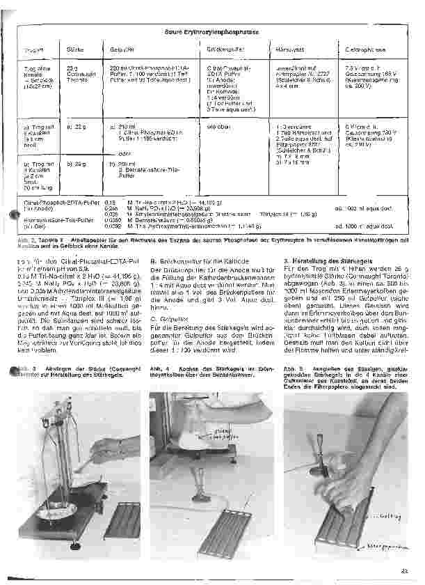 Vorschauseite 2: Transfusionskunde, Blutgruppenserologie, Immunhämatologie 24.Folge: Erbliche Blutmerkmale in den Erythrozyten